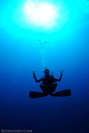 zed scuba