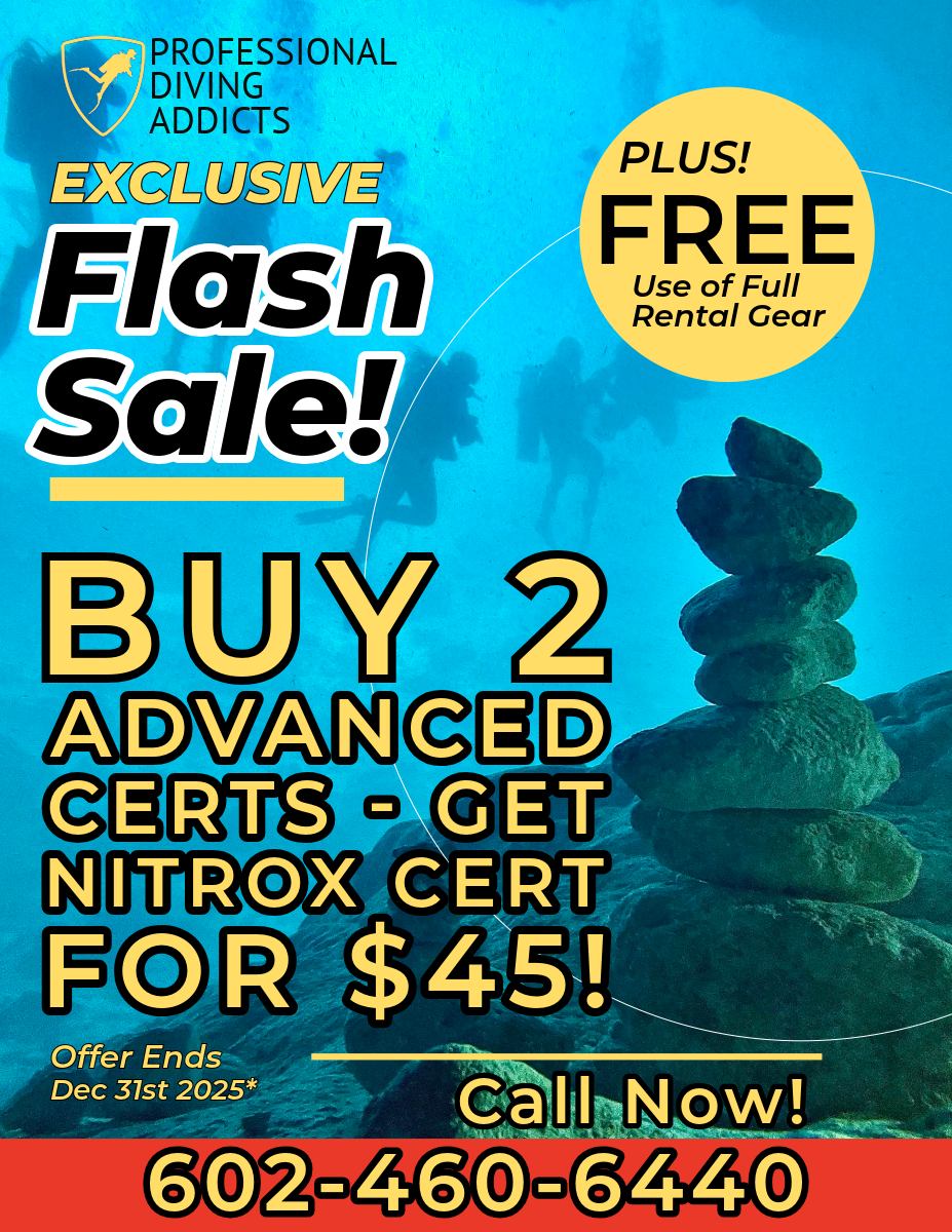 Marketing flyer for scuba date night - Discover Scuba with romantic refreshments after scuba diving